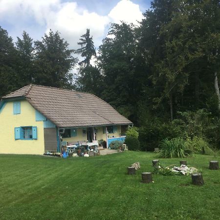 Blue Cottage Podvrh  Εξωτερικό φωτογραφία