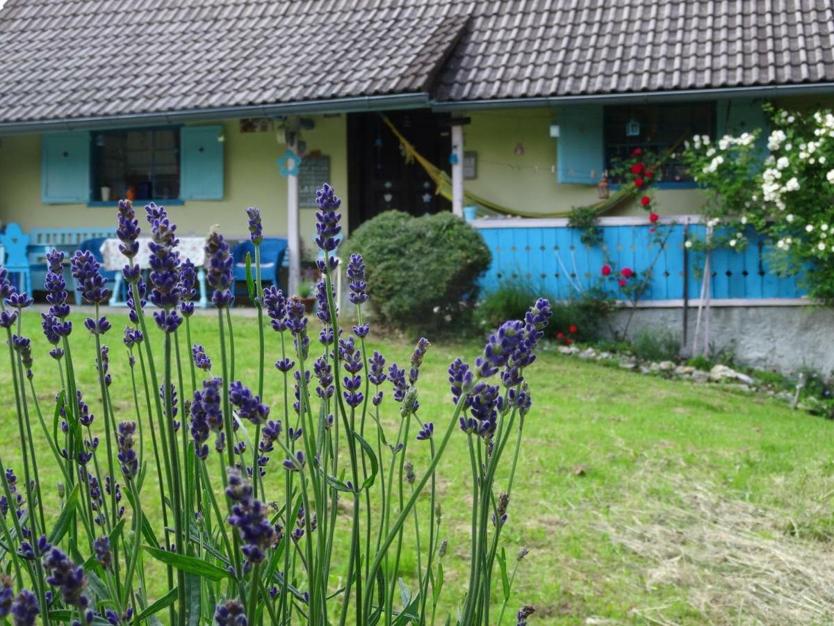 Blue Cottage Podvrh  Εξωτερικό φωτογραφία